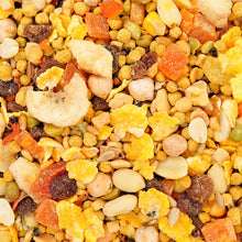 Hagen Gourmet Tropimix Premium Large Parrot
