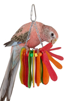 Hanging Paddles