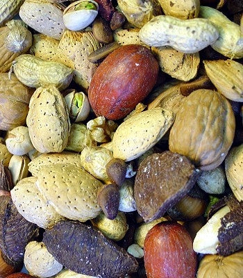 Higgins Sunburst Treats Boca Nuts in shell