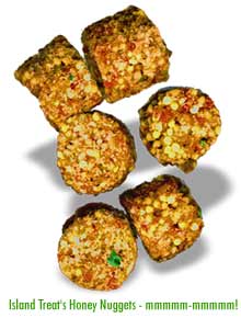 Island Treat Honey Nuggets