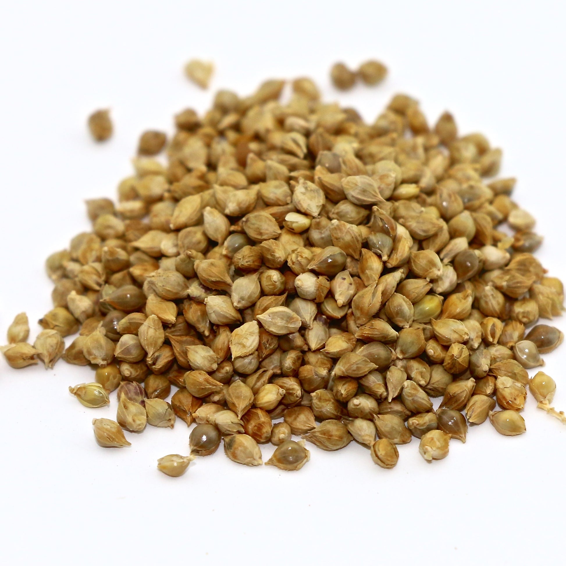 Japanese Millet