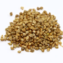 Japanese Millet