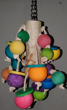 Bubbly Birch Forager