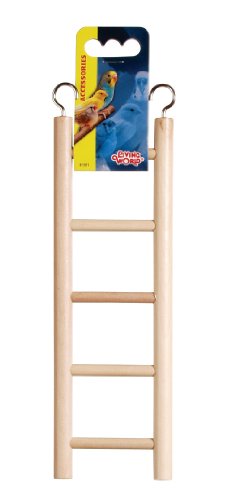 Living World Ladder - 5 Steps