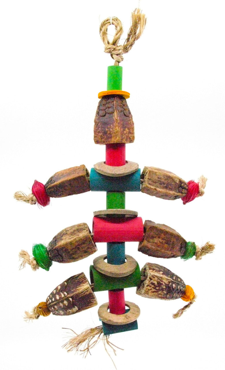 Mahogany Ant