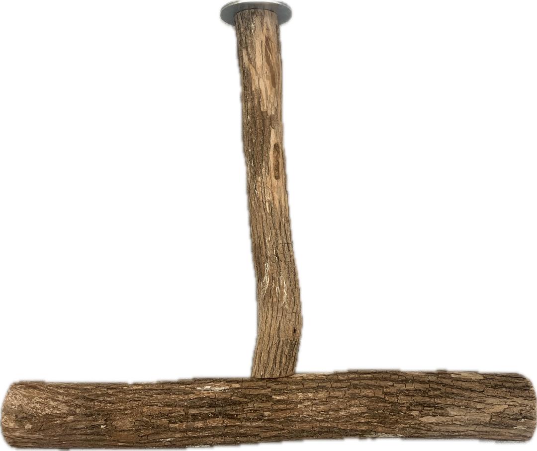 Polly's Dragonwood T-Perch