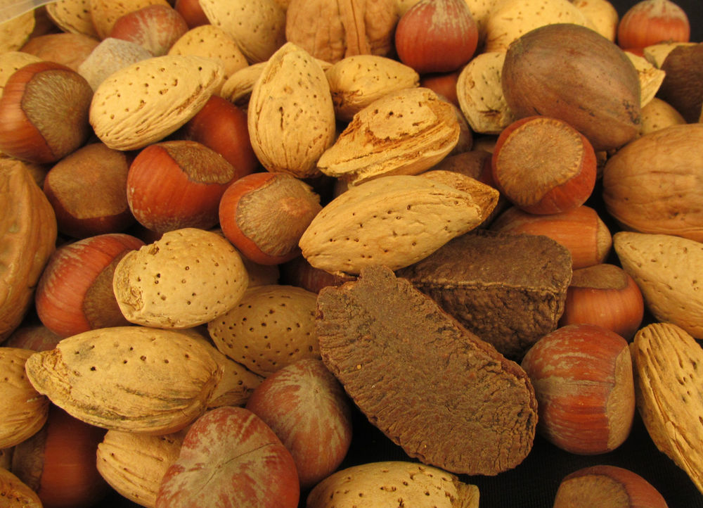 Patagonian Nut Blend 1 lb