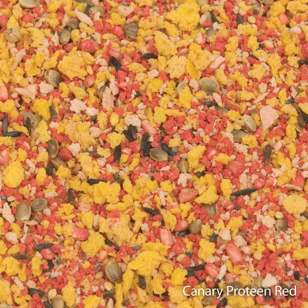 Higgins Protein Color