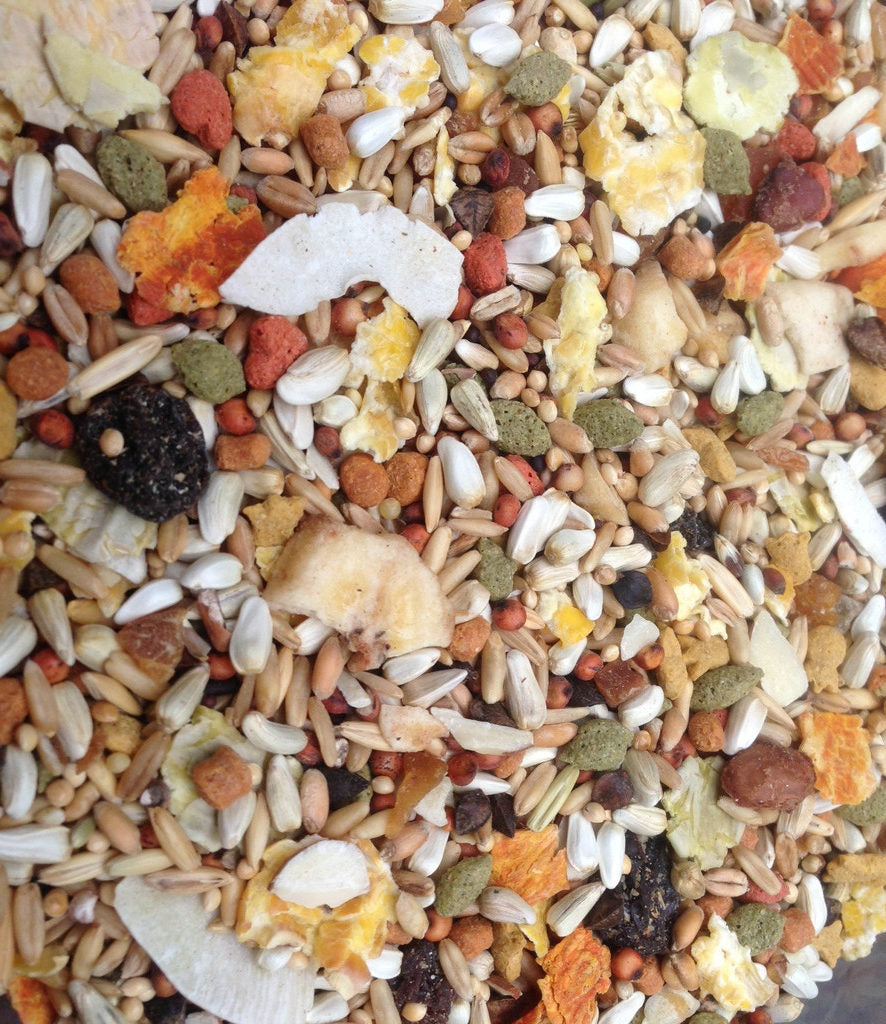 Higgins Safflower Gold