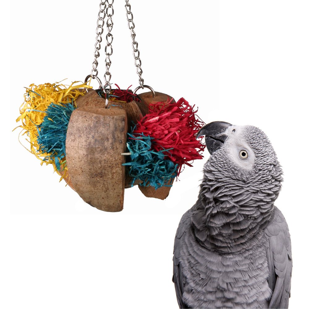 Coco Cornhusk Forager