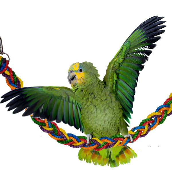 Rainbow Rope Bridge