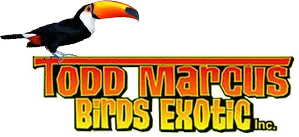 Todd Marcus Birds Exotic