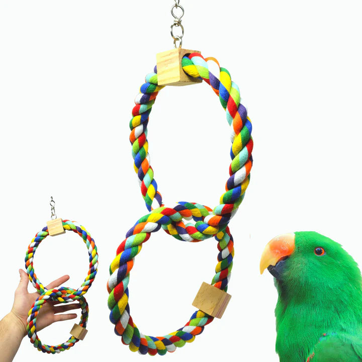 Twin Rainbow Ring