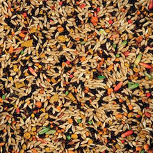 Sunseed Vita Canary