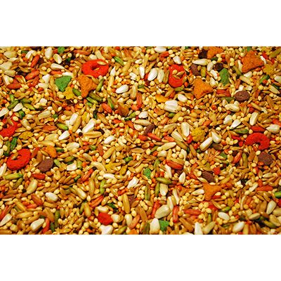 Sunseed Vita Small Hookbill Fruit and Veggie