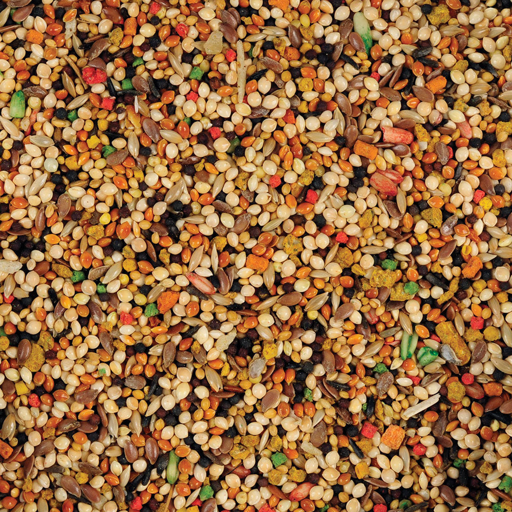 Sunseed Vita Finch