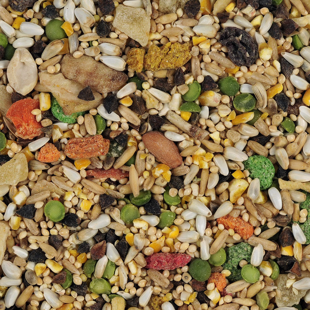 Sunseed Vita Large Hookbill