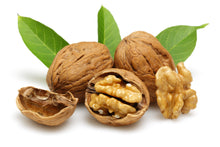 Walnuts in the Shell