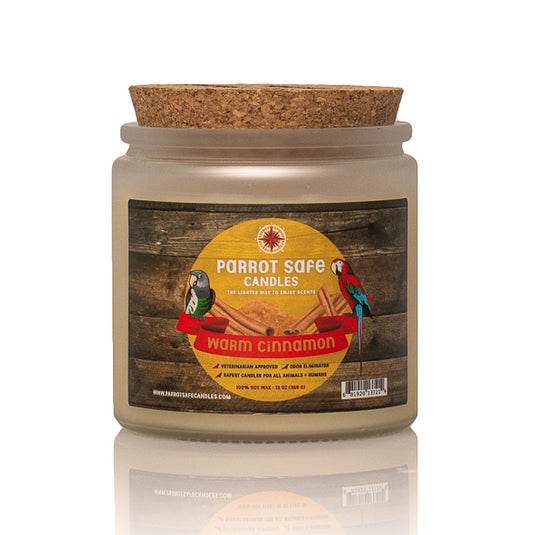 Warm Cinnamon Candle