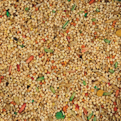 Sunseed Vita Parakeet