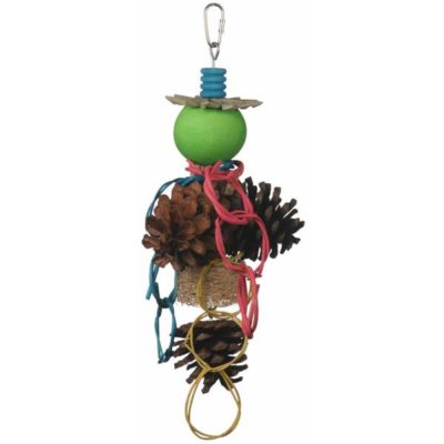 Pine Cone Forager Bird Toy