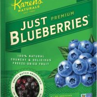 Karen's Just Blueberries (2 oz)