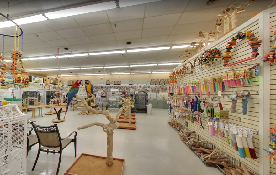 Todd Marcus Birds Exotic is the go-to bird supply store in Delran, NJ