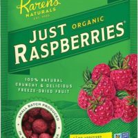 Karen's Organic Just Raspberries Bird Treats