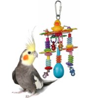 Lily Pond SuperBird Creations Bird Toy