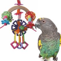 Spring Fling SuperBird Creations bird toy
