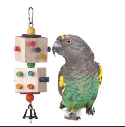 Parrot Dice SuperBird Creations bird toy