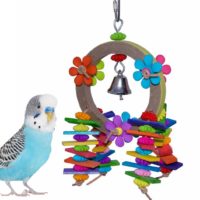 Balsa Garden SuperBird Creations bird toy