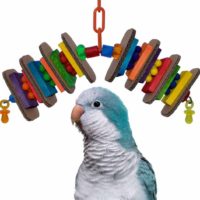 Snack Attack SuperBird Creations bird toy