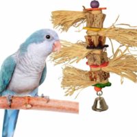 Tassel Time SuperBird Creations bird toy