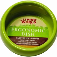 Living World Ergonomic Dish - small green