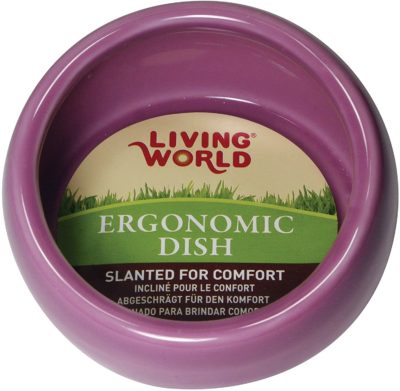 Living World Ergonomic Dish - large, pink