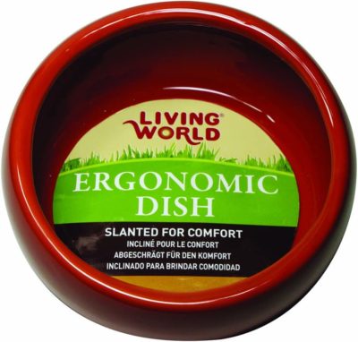 Living World Ergonomic Dish - small, terracotta