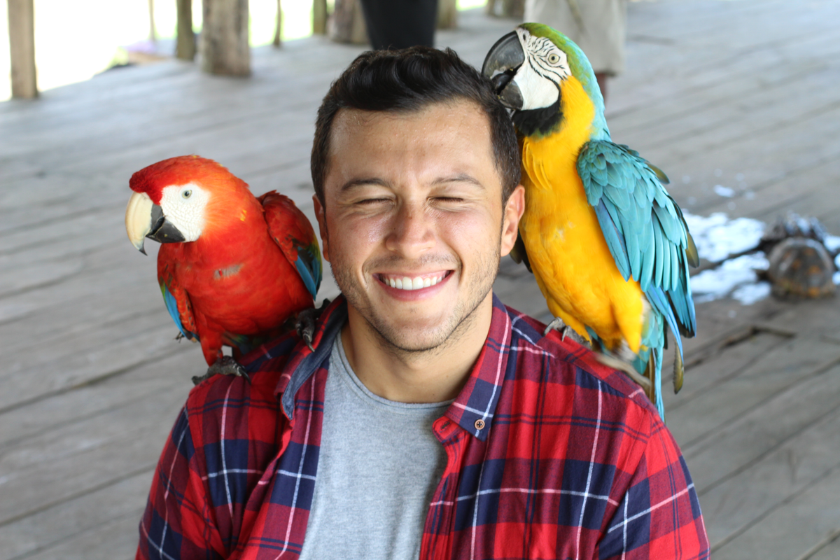 How to Bond With Your Bird Outside of Its Cage Todd Marcus Bird Exotic