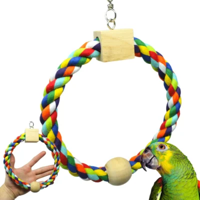 Rainbow Ring