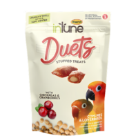 Intune Duets Stuffed Treats