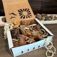 Biodiversity Foraging Fun Pack
