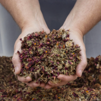Taming the Flame Tea