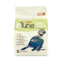 InTune Hand Feeding Formula (Hi-Energy)