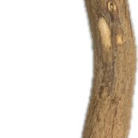 Natural Dragonwood Perches