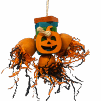 Shredded Pumpkin