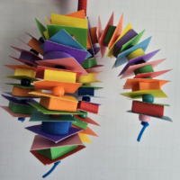 Rainbow Delight Quad